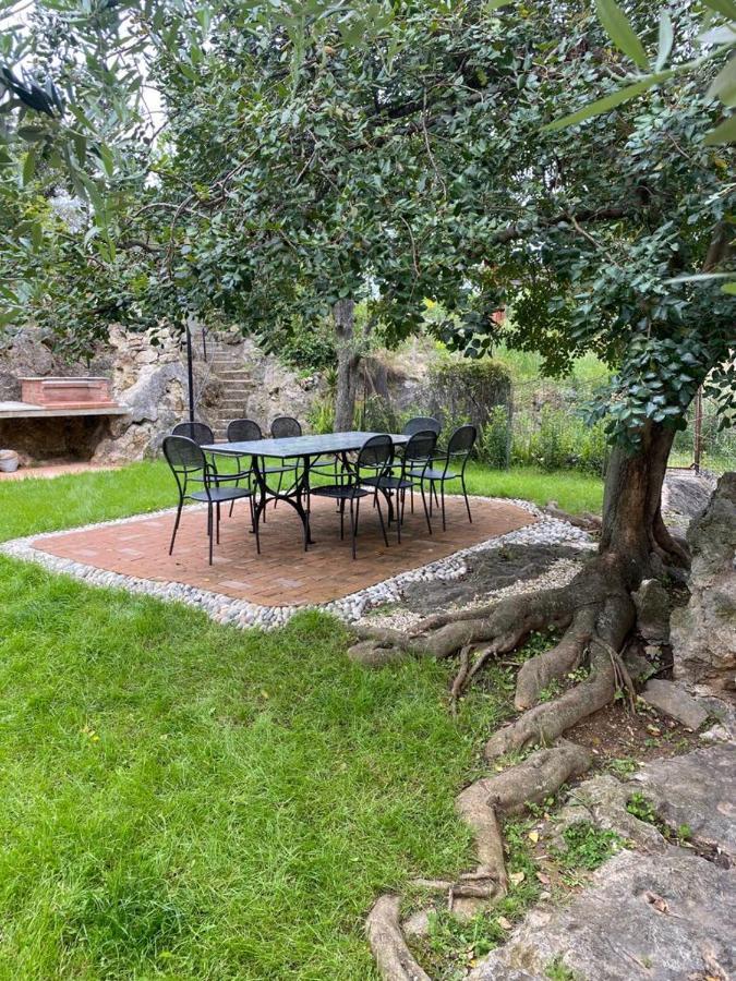 Villa Paolina Ceriale - App. 6 Posti ภายนอก รูปภาพ